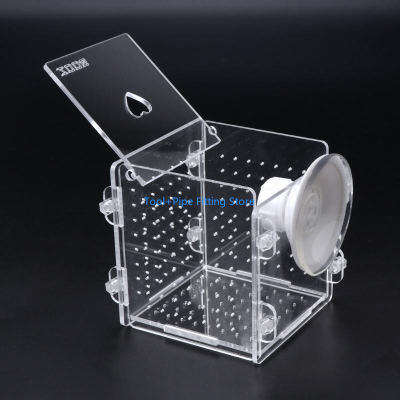 F92B Scatola per allevamento p - Aquarium Fish Medicine recensione e prezzo