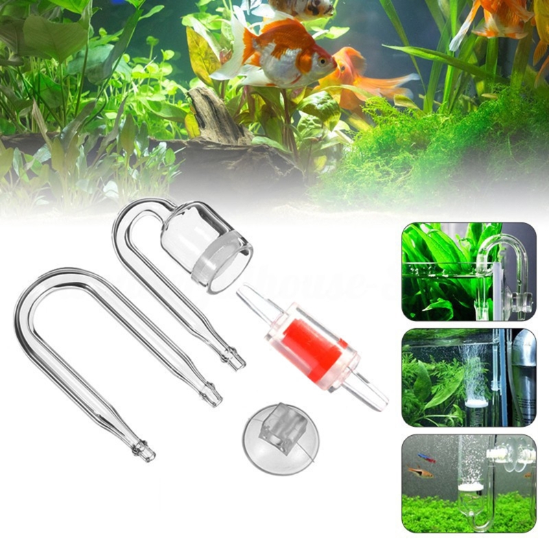 Set da 4 pezzi diffusore di CO - Aquarium Fish Photography recensione e prezzo