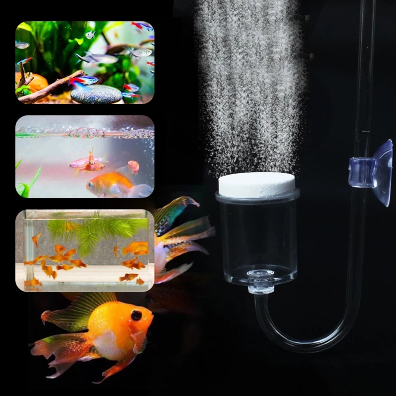 Set da 4 pezzi diffusore di CO - Aquarium Fish Photography recensione e prezzo