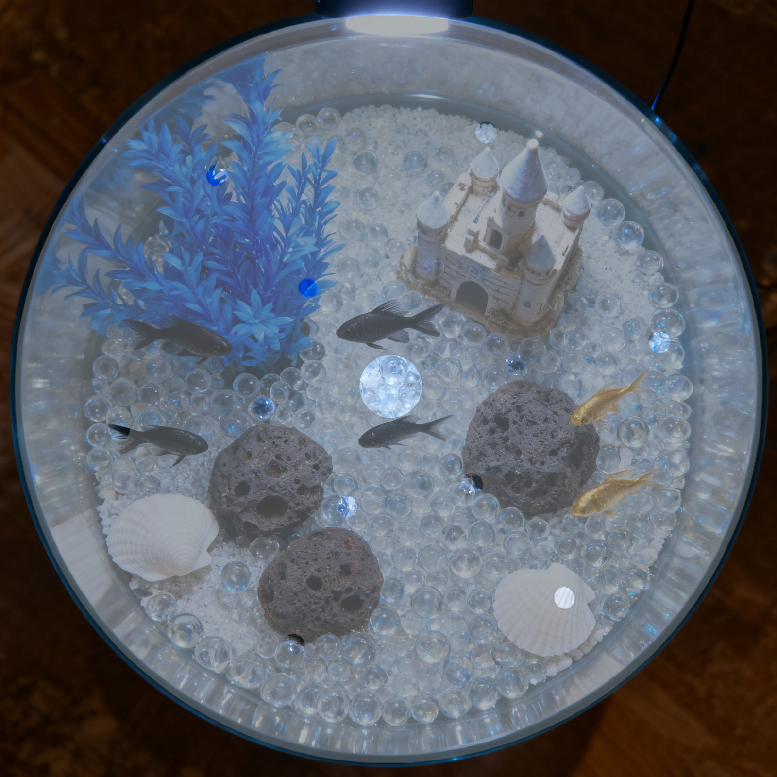Coperchio Rotondo in Acrilico  - Aquarium Fish In Bowl recensione e prezzo